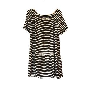 J Crew Factory Striped Silk Dress